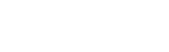 Leadership Progress Cycle