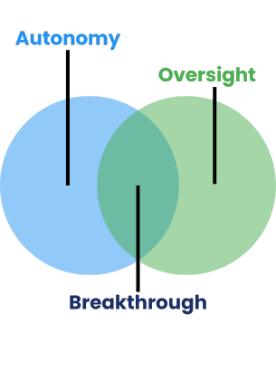 Autonomy vs Oversight
